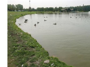 Preparations for the 2015 ITU World Triathlon Edmonton are underway at Hawrelak Park in Edmonton on Aug. 26, 2015. Alberta Health Services issued a warning about the dangerous levels of blue-green algae in the pond at the park where the triathlon is scheduled to take place.