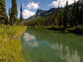 This undated file shot shows Willmore Wilderness area, north of Jasper National Park. Letter writer Thomas Deak argues that Alberta should create Canada's first Carbon Sink Provincial Park, with no drilling, logging or industrial activity allowed.