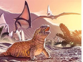 University of Alberta paleontologists have discovered a new species of lizard, named Gueragama sulamericana, in the municipality of Cruzeiro do Oeste in Southern Brazil in the rock outcrops of a Late Cretaceous desert, dated approximately 80 million years ago. Illustration of Gueragama sulamerica by Julius Csotonyi.