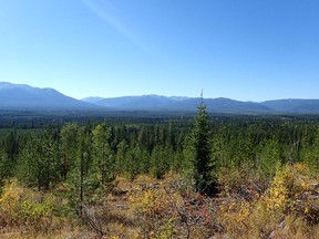 Two University of Alberta students found a lost hunter while conducting field research in Flathead Valley near Fernie, B.C.