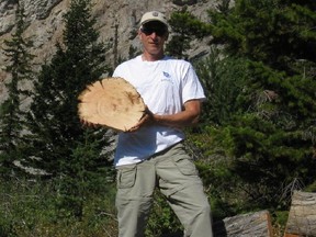 University of Regina scientists David Sauchyn looks for tree stumps up to 900 years old near Jasper for a study into to historic water levels on the Athabasca River. Using tree rings, scientists can determines years of drought.
