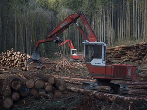 A section of forest is harvested by loggers near Youbou, B.C., on Jan. 14, 2015.
