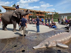 Have a visit with Lucy the Elephant and other critters at Boo at the Zoo on Sunday, Oct. 18.