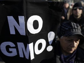 A woman attends a protest against genetically modified foods. The complex and contentious issue is changing the way crops are grown.