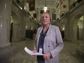 NDP MLA Maria Fitzpatrick delivered a moving speech in the house about her experience with domestic violence.