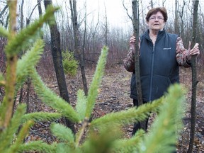 Shirley Frost in the Dunvegan Treestand forest, which is a small pocket of native scrub in the middle of the city. It has become an attractive spot for kids to build forts and have bonfires. The city has planted more trees after others were destroyed by vandals.