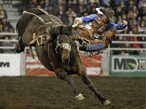 Cody DeMoss from Watervalley, Alta., gets bucked off in the Saddle Bronc Riding contest on Friday at the 2015 Canadian Finals Rodeo at Rexall Place. Cort Scheer won Friday's saddle bronc round riding Lynx Mountain.