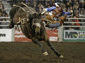 Cody DeMoss from Watervalley gets bucked off in the saddle bronc riding event at the 2015 Canadian Finals Rodeo in Edmonton on Friday November 13, 2015.