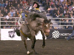 Jake Void rides Soap Bubbles in the bareback riding event at the Canadian Finals Rodeo at Rexall Place in Edmonton on November 12, 2015.