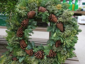 Hole's Greenhouses is offering free wreath and festive urn demonstrations leading up to the Christmas season.