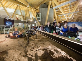 The Philip J. Currie Dinosaur Museum was named one of the world's coolest new museums earlier this year.