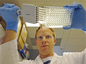 Jamie Boisvenue, a University of Alberta cardiovascular research technician, works in the lab to determine the fat lipid content in heart tissue in this Sept. 18, 2012 file photo.