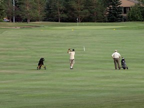 Even though it's getting late in the season, Edmonton golfers are still scoring holes-in-one.