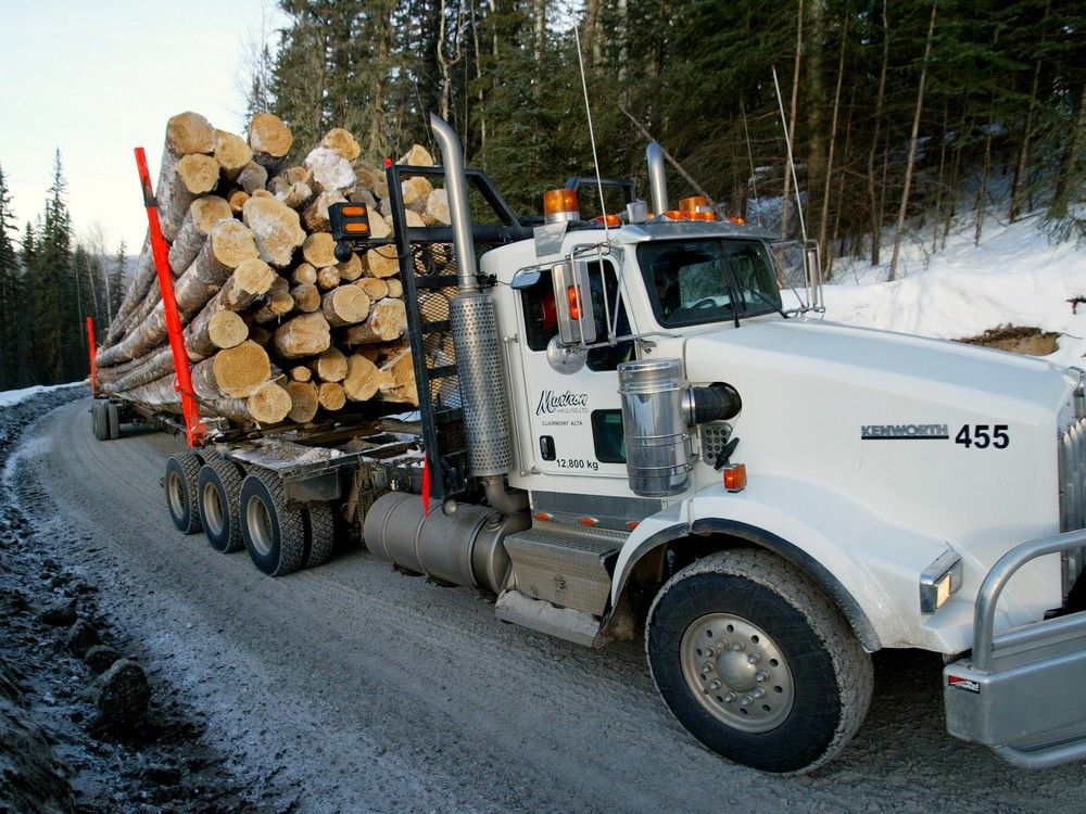 Logging Truck Driver Dead After Triggering Multi Vehicle Crash Near Grovedale Grande Prairie 