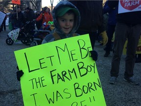 Zach Schmitke, 4, at Monday's anti-Bill 6 rally at the Alberta Legislature.