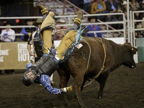 Justin Maguire from Sik Sika, Alta., had a wild ride in the Boys Steer Riding event at the 2015 Canadian Finals Rodeo on Saturday, Nov. 14, 2015.