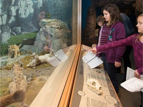 Students Jaylyn Fenby, and Victoria Bura from St. John Paul II School in Stony Plain explore the Royal Alberta Museum on its last day for field trips, Dec. 4, 2015.