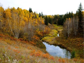 Developers and the city have different interpretations of what land the city can claim as environmental reserve.