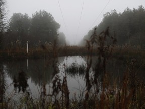 Heavy fog blankets a wooded area, Tuesday, Dec. 22, 2015, in Sandersville, Miss. A weather pattern that could be associated with El Nino has turned winter upside-down across the U.S. during a week of heavy holiday travel, bringing spring-like warmth to the Northeast, a risk of tornadoes in the South and so much snow in parts of the West that there are concerns about avalanches. On Christmas Day, it could be warmer in New York City than Los Angeles.