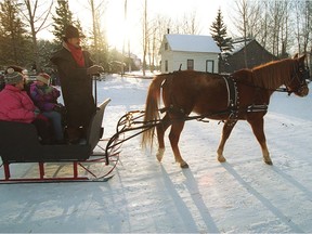 A one horse open sleigh at Fort Edmonton Park in 1995. Long-ago Christmases are fondly remembered, even when they may have involved some hardships.