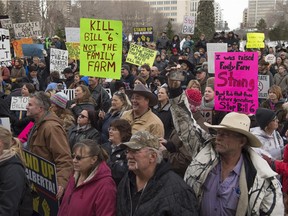 Hundreds of Alberta Farmers and ranchers descended on the Alberta Legislature  to protest against Bill 6, the new farm safety legislation, on Dec. 3, 2015.