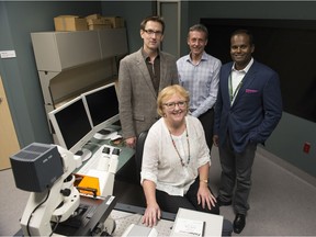 Dr. Lori West, foreground, leads the Canadian National Transplant Research Program.