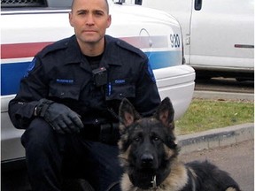 Const. Matt Williamson with Quanto.  Photo supplied by Ute Sierig, co-owner of Hercules K9, the breeders who donated Quanto to Edmonton Police.