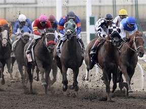 The Canadian Derby in Edmonton August 16, 2014.