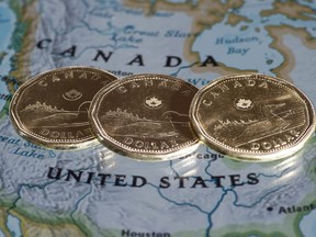 The decline of the loonie isn't all bad news, as some sectors benefit.