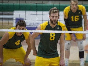 Brett Walsh of the University of Alberta Golden Bears takes stock of the UBC Thunderbirds at the Saville Sports Centre in Edmonton.