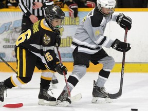 Minor hockey players will model their behaviour on NHL stars rather than their coaches' advice, writes Douglas Campbell.