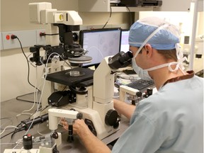 An embryologist at work in the Regional Fertility Program lab in Calgary, Alta., on July 24, 2014.
