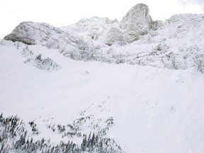 The bowl where several avalanches killed eight snowmobilers in 2008 near Fernie, B.C.