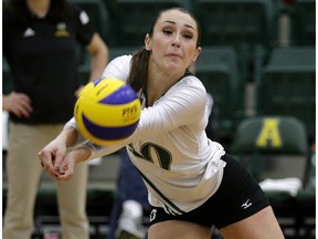 EDMONTON, ALBERTA: JANUARY 3, 2016 - University of Alberta Pandas Jessie Niles reaches for the ball during game action against the Montreal Carabins at the CIS 2016 New Year's Classic volleyball tournament held at the Saville Community Sports Centre in Edmonton on Sunday January 3, 2016. (PHOTO BY LARRY WONG/EDMONTON JOURNAL)