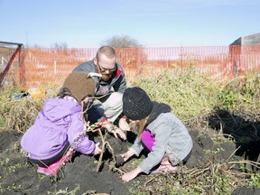 Knowing the difference between soil and dirt, and how to nurture your soil properly, can help you get the most out of your garden.