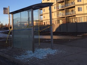 Police are investigating a spree of mischiefs that occurred from Thursday, Feb. 18 to Sunday, Feb. 21, 2016 in northeast Edmonton, which left 70 bus shelters with broken glass.