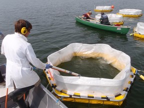 University of Alberta conducts experiments on Nakamun Lake in central Alberta using mesocosms, which act as big test tubes in lakes. The experiments are on blue-green algae blooms.