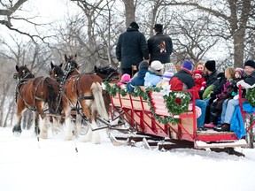 Sleigh rides such as the one shown in this file photo will be among the activities at the Fire and Ice Festival in Lacombe Lake Park, St. Albert on Monday, Feb. 15.