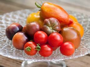 A selection of heirloom tomatoes that have been bred and developed over time, including Yellow Brandywine and Indigo Rose.