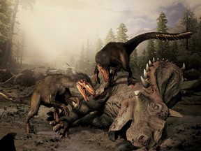 Boreonykus, a new species of dinosaur about the size of a dog and possessing a lethal claw, shown in a handout illustration, has been discovered in northwestern Alberta by an Australian paleontologist.
