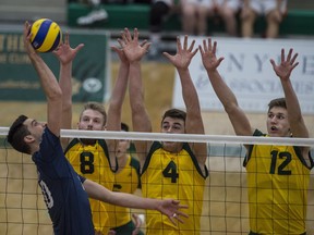 The Alberta Golden Bears men's volleyball team was defeated three sets to none against Trinity Western at the Canada West Final Four at the Saville Centre on South Campus. Ryan Sclater of TWU faces Brett Walsh, John Goranson and Ryley Barnes at the net.