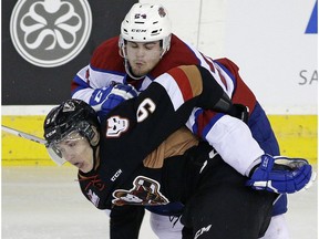 Edmonton Oil Kings defenceman Aaron Irving hitches a ride on Calgary Hitmen's Pavel Karnaukhov on the way to a 5-0 Calgary shutout at Rexall Place on Friday. (Larry Wong)