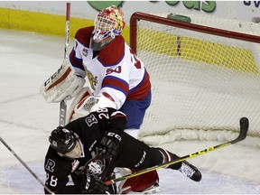 EDMONTON, ALBERTA: MARCH 17, 2016 - Red Deer Rebels Adam Helewka falls in front of Edmonton Oil Kings goalie Payton Lee during WHL hockey game action in Edmonton on March 17, 2016. (PHOTO BY LARRY WONG/POSTMEDIA NETWORK)