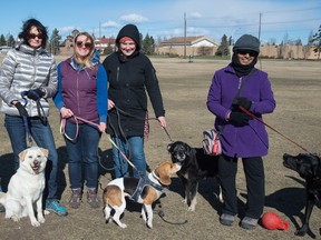 Janie Zahara, Lisa Van Osch, Elise Hetu , Sujatha Fernando are part of a  group of off-leash dog park users wants to get a fence around the Grand Trunk off-leash park.