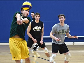 Alberta Golden Bears men's undefeated volleyball team practice at the Saville Centre in Edmonton, February 17, 2016.