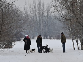 Pet owners out for a walk with their dogs at the off leash Buena Vista Park in Edmonton, January 22, 2016.
