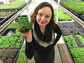 Chef Brittany Watt has a thriving business called Harvest Micro-Greens that she runs out of her garage on the north side.