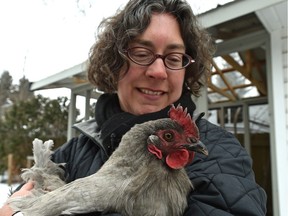 Margaret Fisher holding one of her Orpington hens.