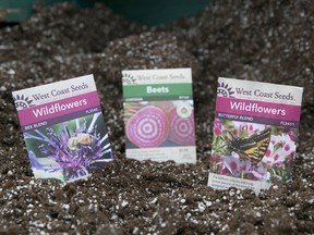 Seeds are flying off the shelves as gardeners grow their own vegetables, one of the latest trends for 2016.