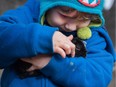 Five-year-old Finlay Englot says hello to a baby rabbit in the petting farm during Hop! Easter Fest at Prairie Gardens in Bon Accord, Alta on Friday, March 25, 2016.